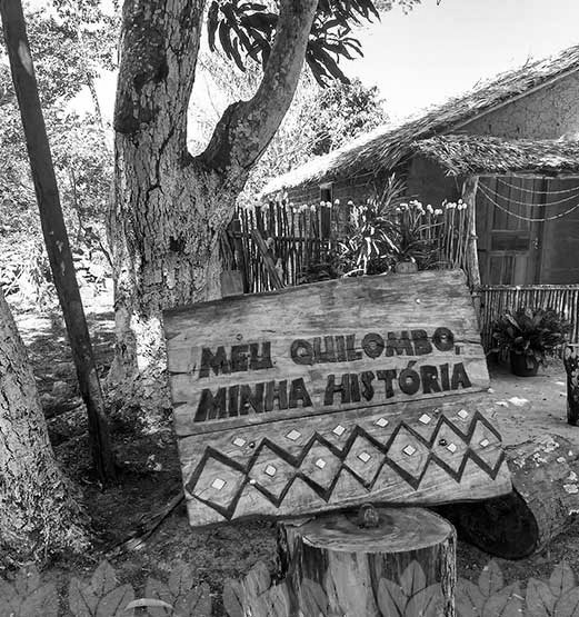 Pessoas plantando árvores em um parque local